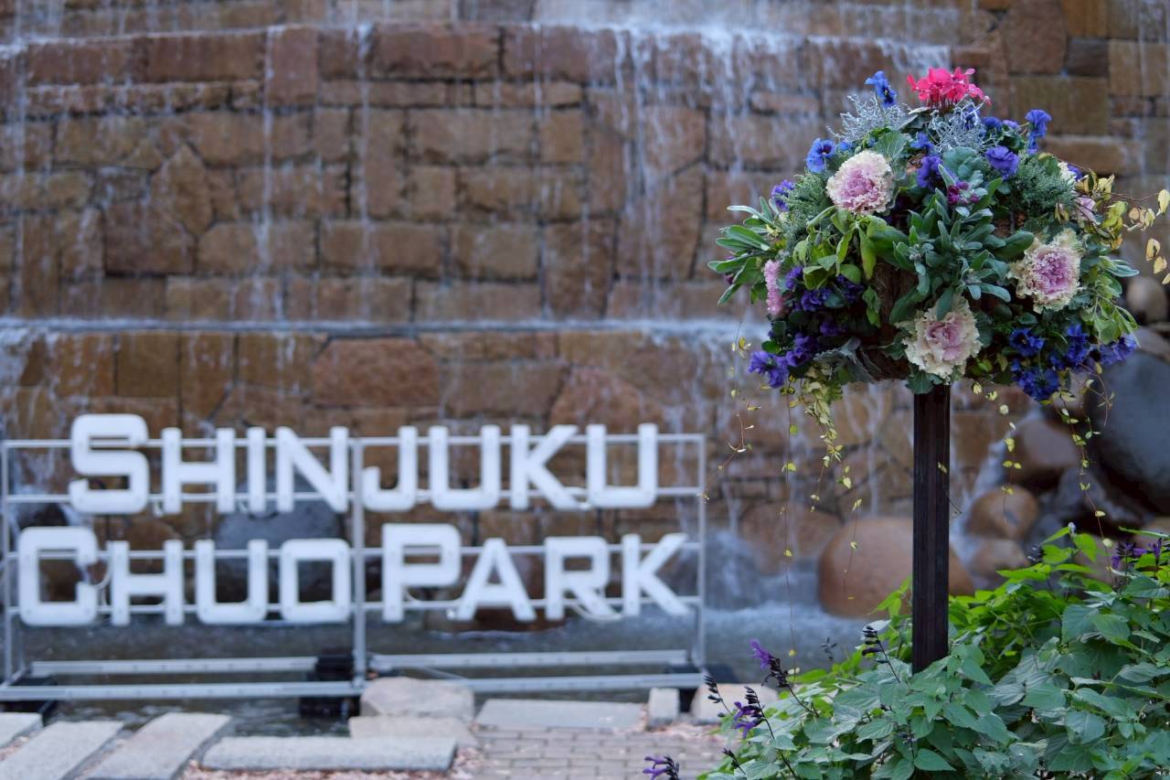 新宿中央公園 水の広場の植栽 ハンギング スタンディングミニ